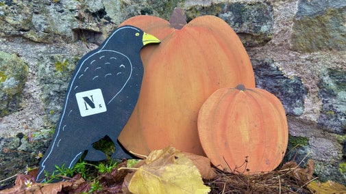 A cut out of a raven and a cut out of a pumpkin